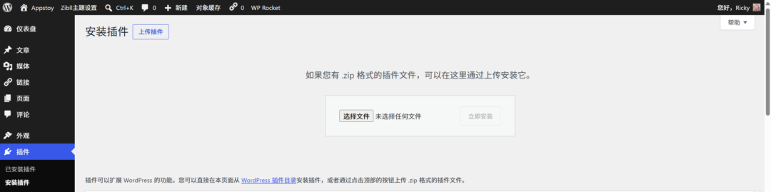 图片[2]-WP Rocket 免费版，一款加速 WordPress 博客的终极插件，亲测好用。-Appstoy
