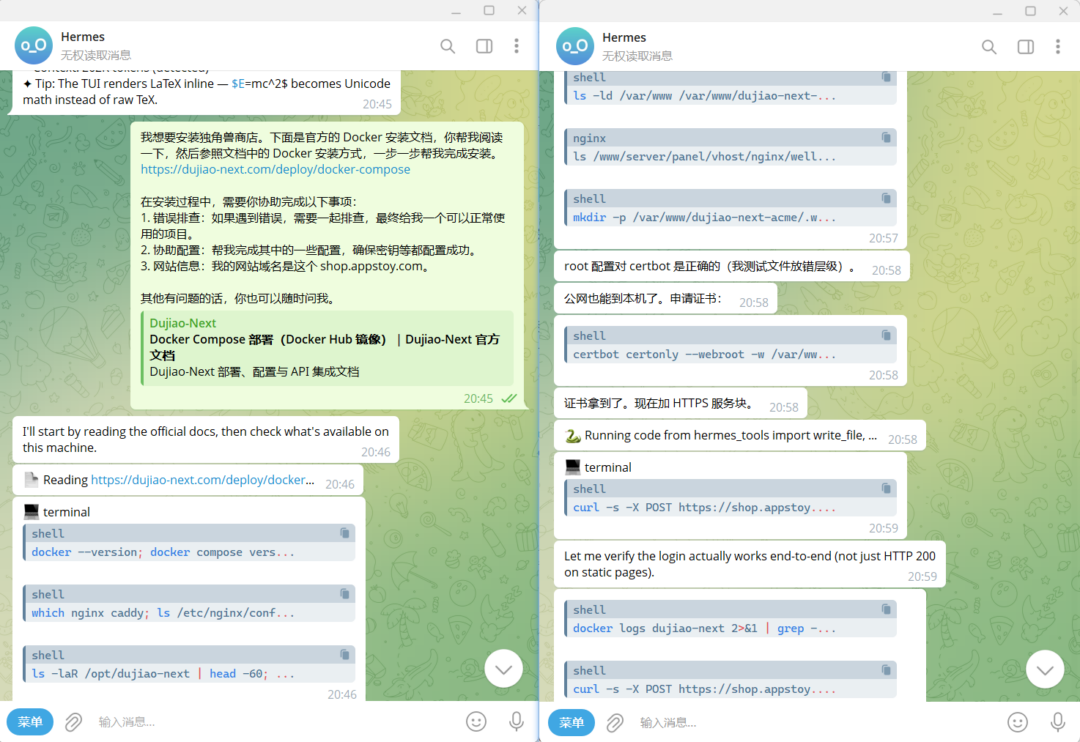 图片[2]-一句话，AI 帮我把电子商城部署完了，文档一眼没看！独角兽 | AI | Hermes | 发卡网站-Appstoy-发现好软件，让AI更好用