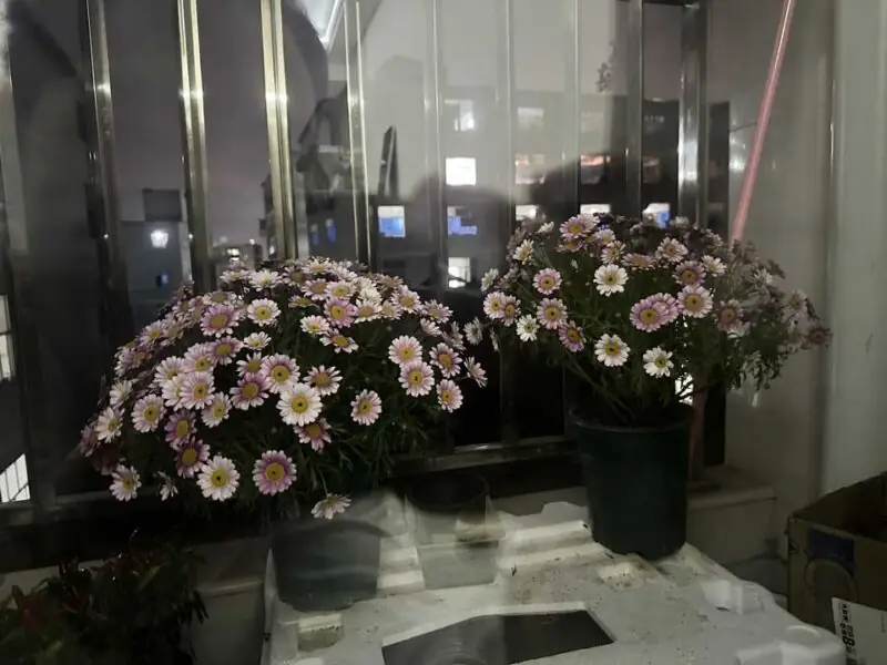 生活是牢笼，而大多时候，我们是温水里的青蛙……-Appstoy